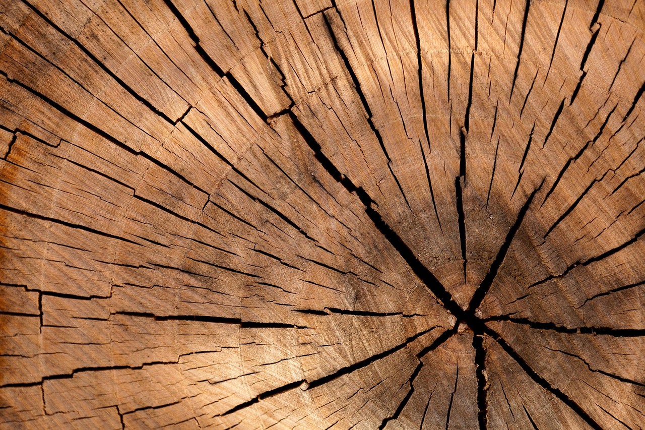 Publicdomainpictures lumber 84678